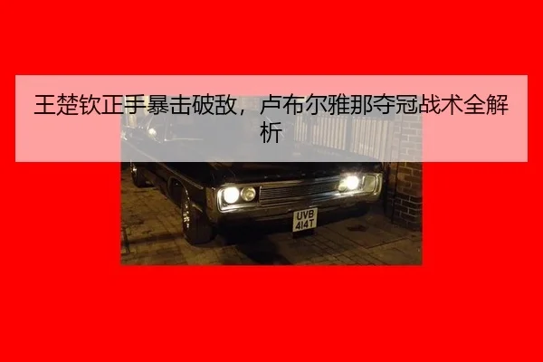 王楚钦正手暴击破敌，卢布尔雅那夺冠战术全解析